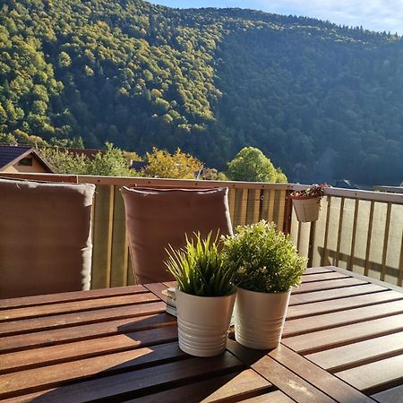 Miro Apartament Sinaia Exteriér fotografie