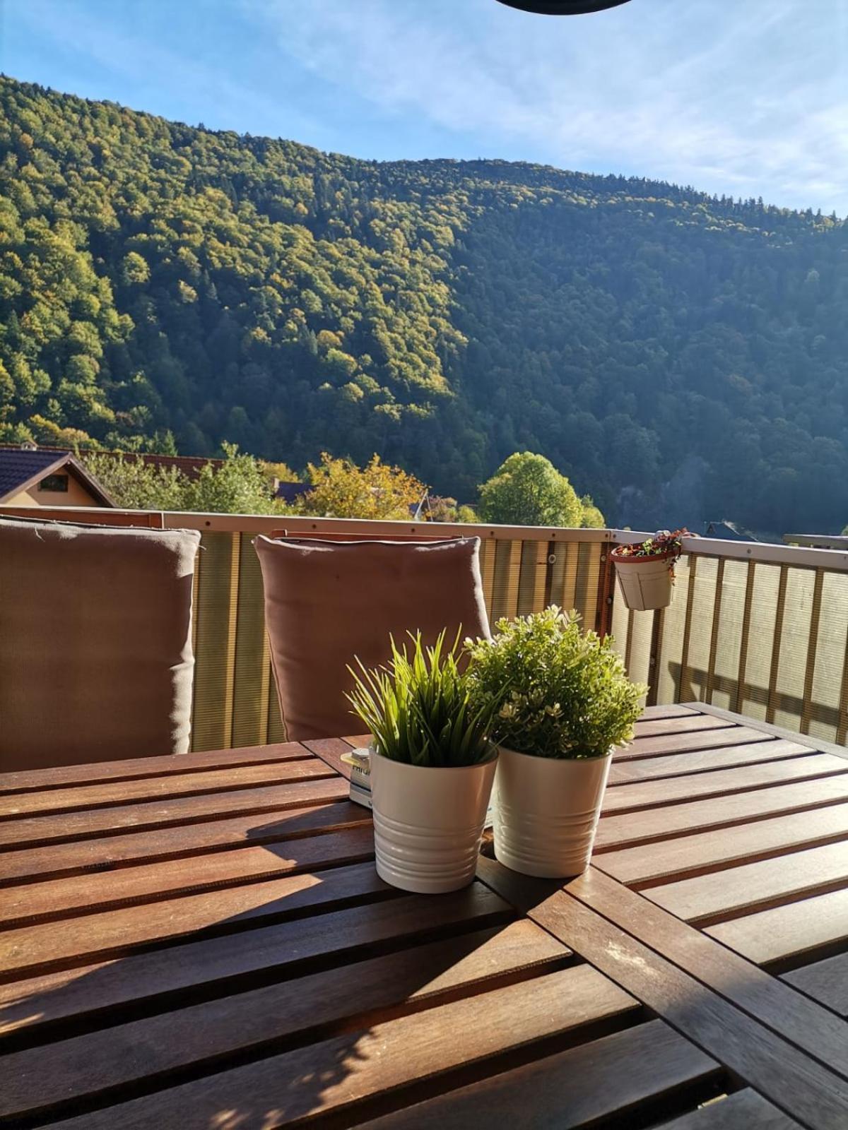 Miro Apartament Sinaia Exteriér fotografie