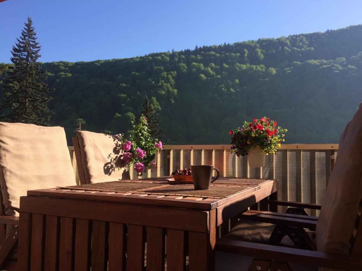 Miro Apartament Sinaia Exteriér fotografie